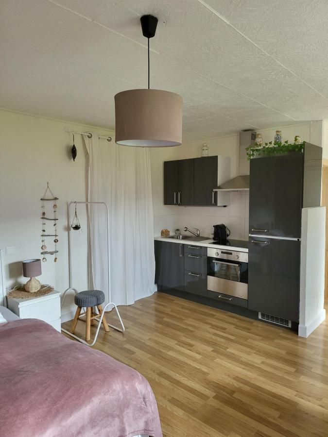 Studio Des Fontanettes Miège Eksteriør bilde
